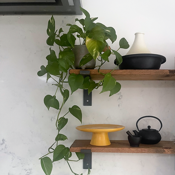 Yellow Cake stand/fruit stand on a shelf 